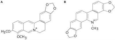 Toxicological Effects of Berberine and Sanguinarine